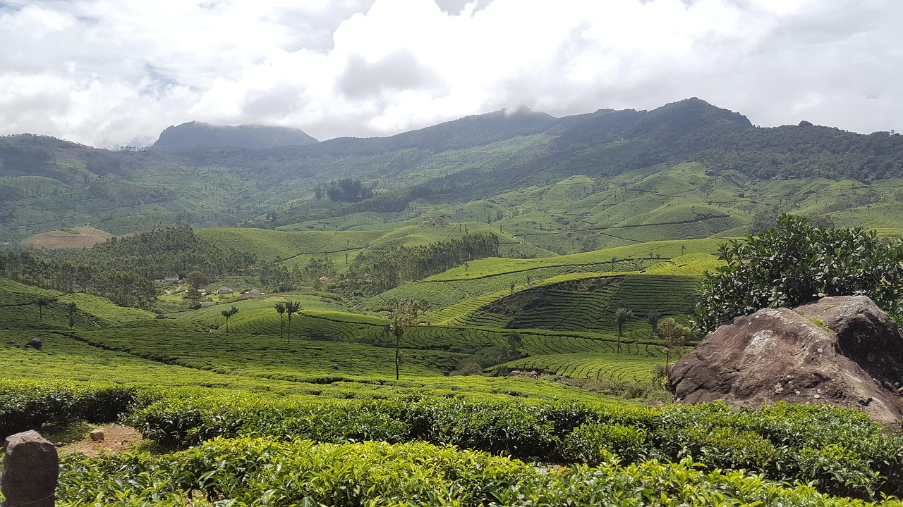 Kerala Luxe Escape: An Exquisite IRCTC Tourism Sojourn from Guwahati