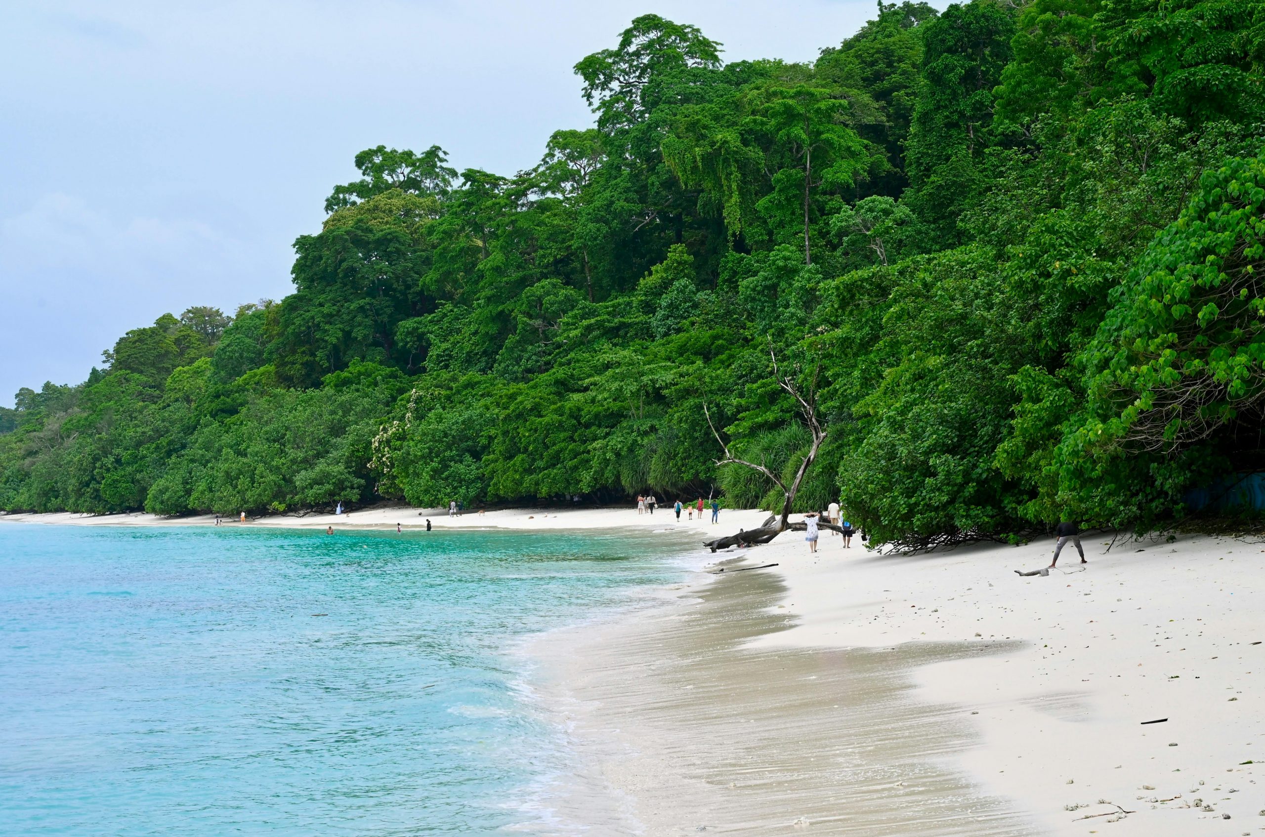 Enjoy a Week of Blue Waters of Andaman & Nicobar Island with IRCTC