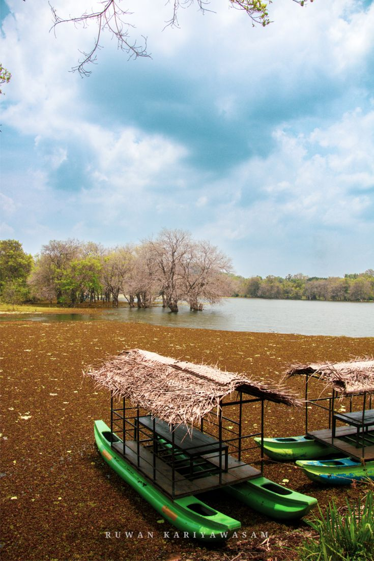 Experience Serene Sri Lanka: Your All-Inclusive Island Getaway with IRCTC